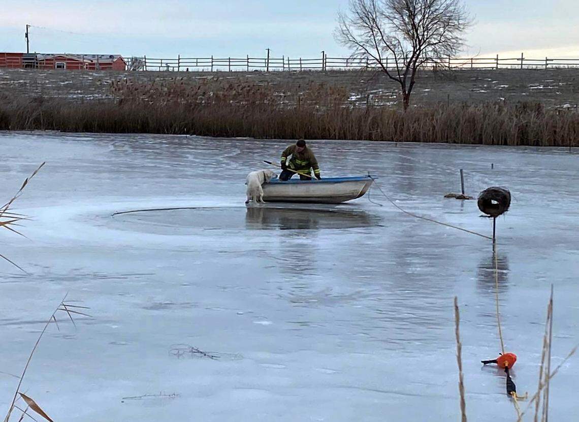 A firefighter rescued a dog that fell through the ice in a Franklin County pond this week.