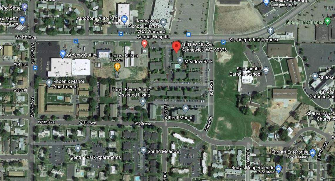 A Kennewick woman cut the tires on three police cars after threatening officers.