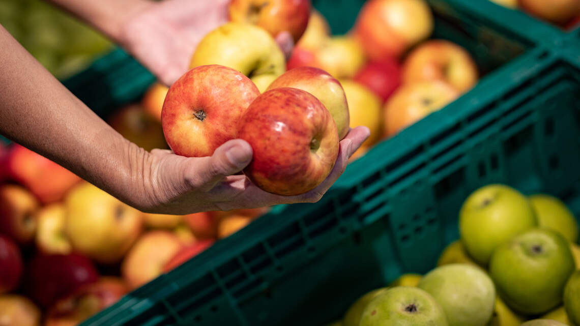Will WA apple harvest thrive despite challenges? Growers ‘used to uncertainty’