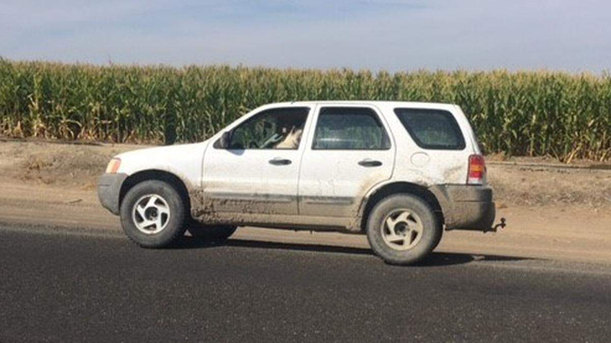 Franklin County deputies arrested a pair after they allegedly tried to break into a house on Langford Road.