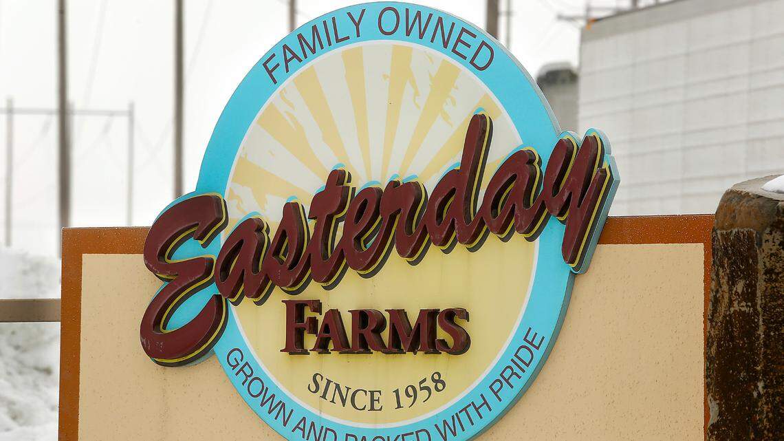 Easterday son files to operate mega-dairy south of Tri-Cities. Oregon forced his dad out