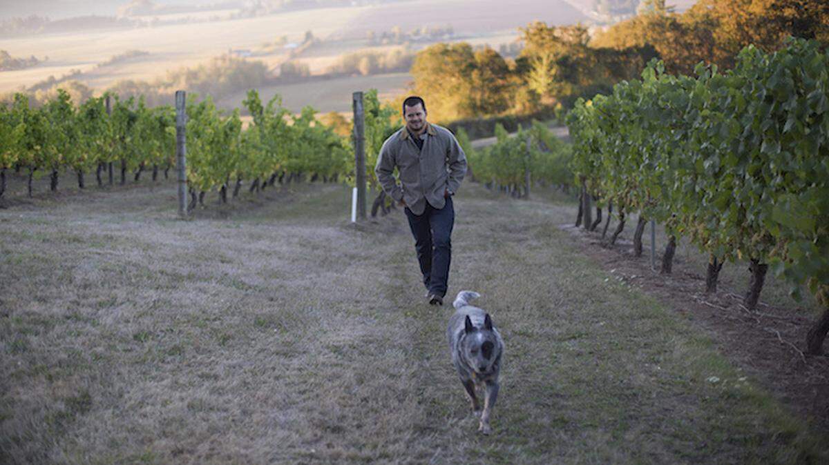 Ryan Harms and his blue heeler, Luke, walk the rows at historic Amity Vineyard. Harms and Union Wine Co., purchased the property from Oregon iconoclast Myron Redford in spring 2014.