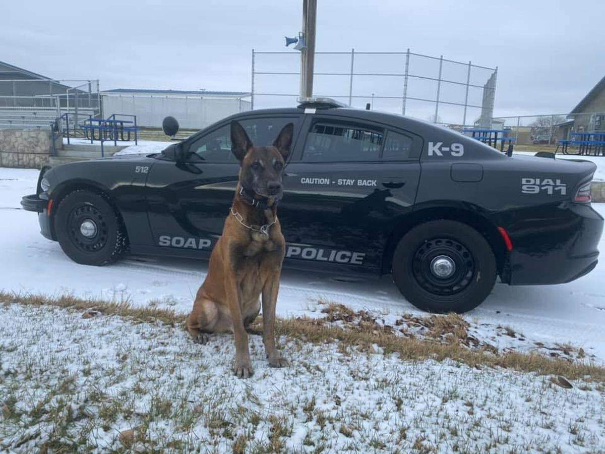Franklin County sheriff’s deputies claim the officer was trying to release K9 Basco to attack while he was resisting arrest.