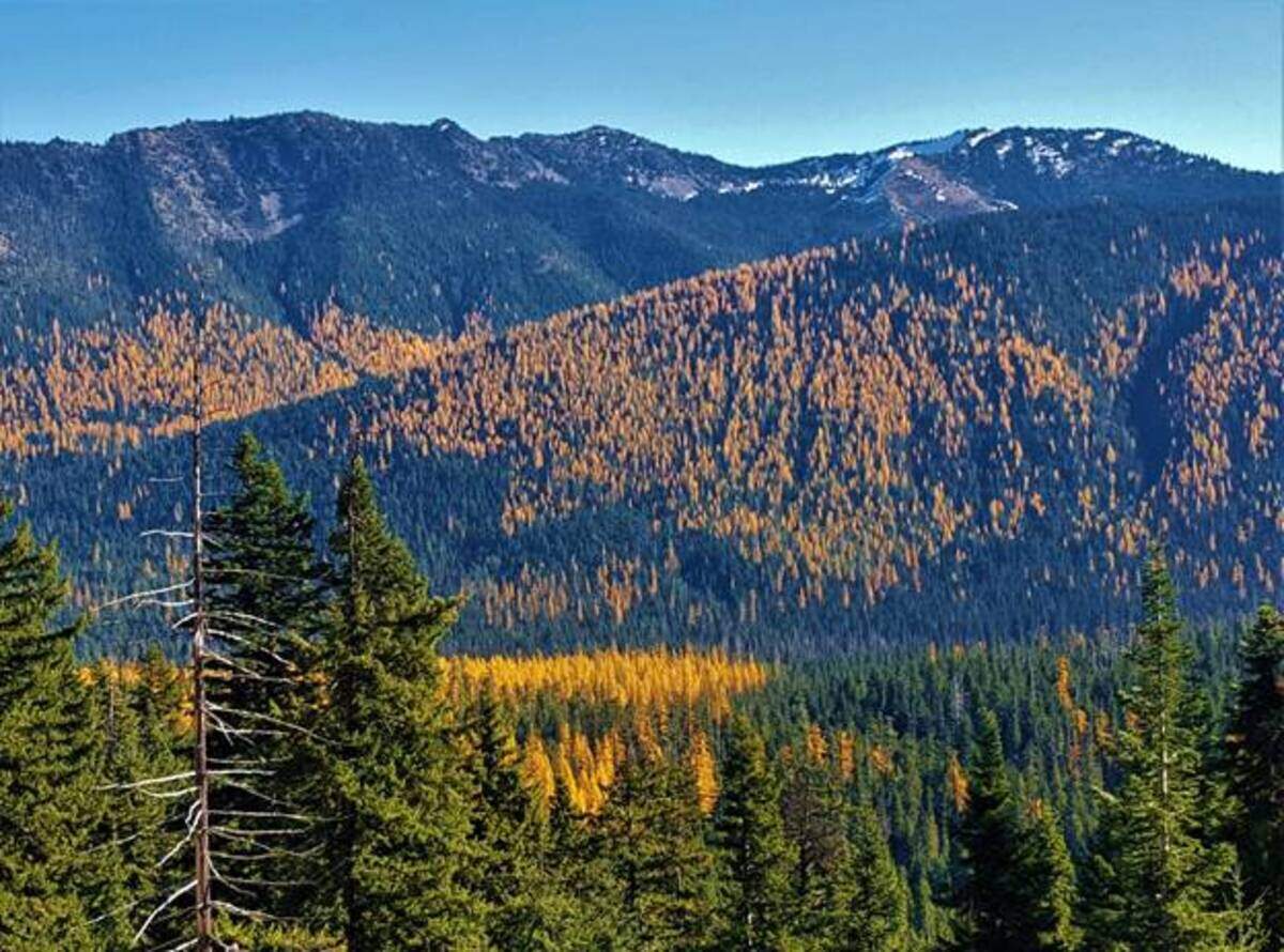 Revel in the amazing colors on Pacific Northwest hikes.