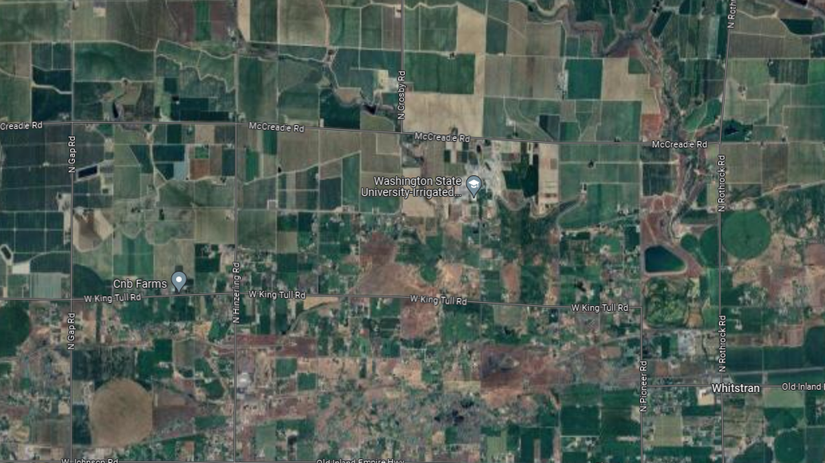 Benton County investigators are trying to identify some bones found on undeveloped farm land north of Prosser.