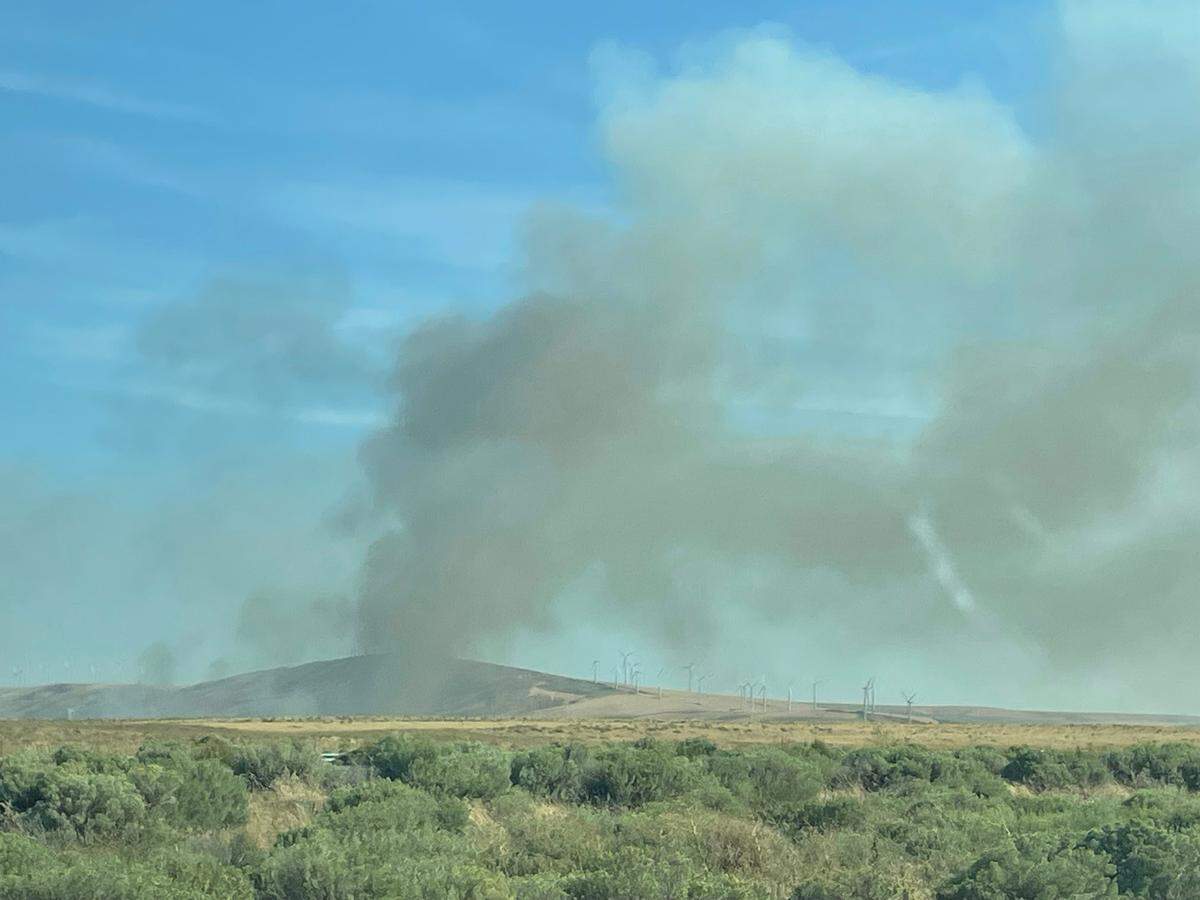 A wildland strike team fought a fire Sunday afternoon in the hills south of Kennewick off highways 395 and 397.