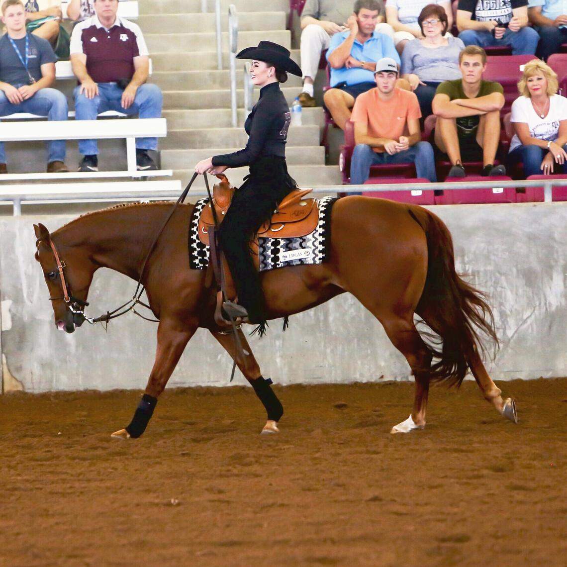 Columbia-Burbank High School graduate Ashley Davidson rode through college to become an All-American honorable mention by the National Collegiate Equestrian Association. Davidson is finishing her final year at Texas A&M.