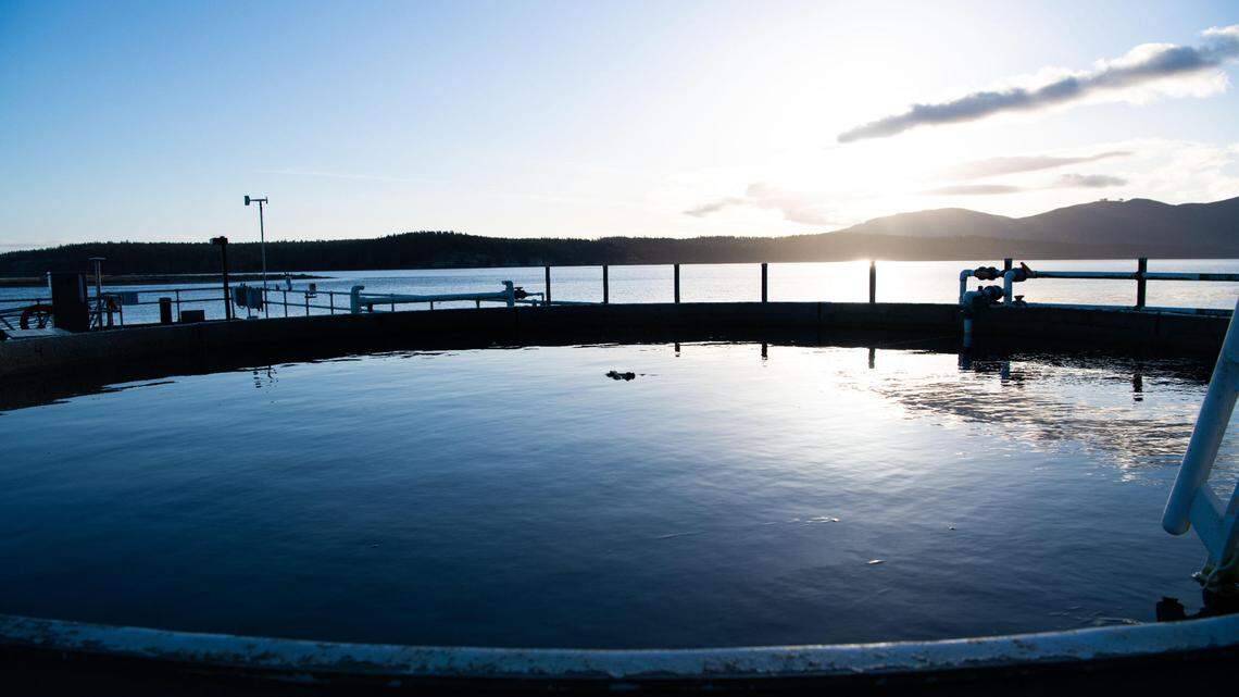 Pacific Northwest researchers using seawater to find solutions for global warming