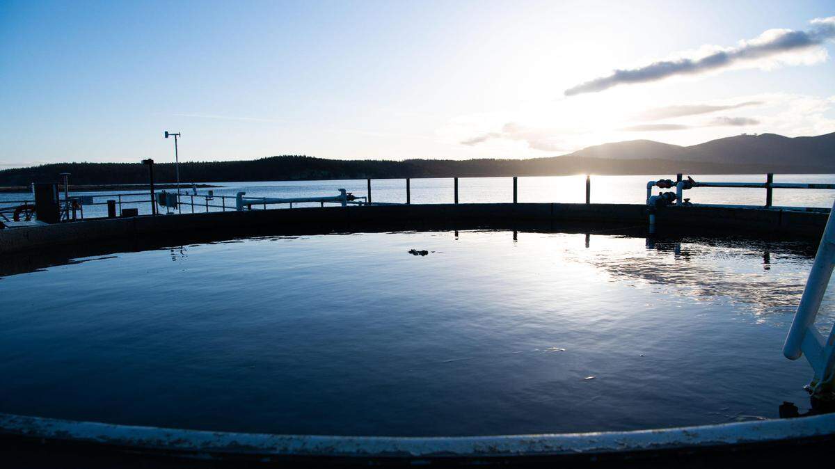 Mesocosm tanks at PNNL-Sequim — both indoors and outdoors like the one shown here — are fed with seawater from nearby Sequim Bay to enable research on chemical, biological or physical components and processes under controlled conditions.