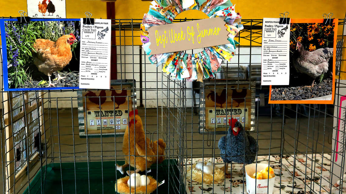 Here’s what you won’t see at the Benton Franklin Fair this week