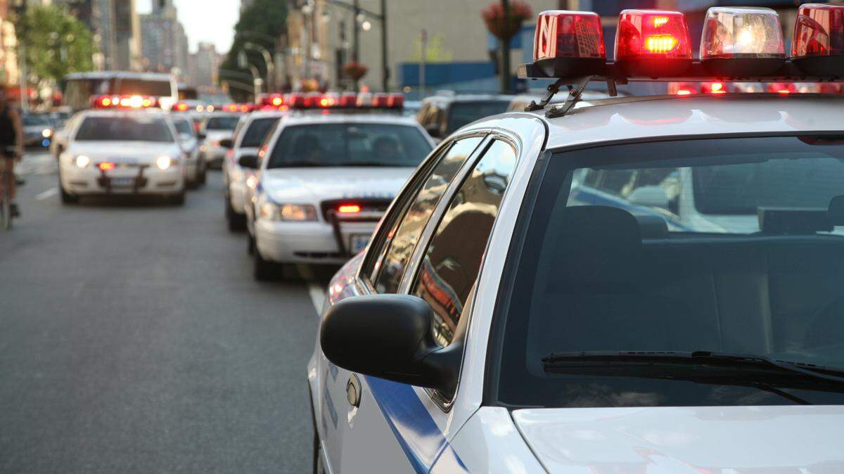 Row of police cars with flashing lights.
