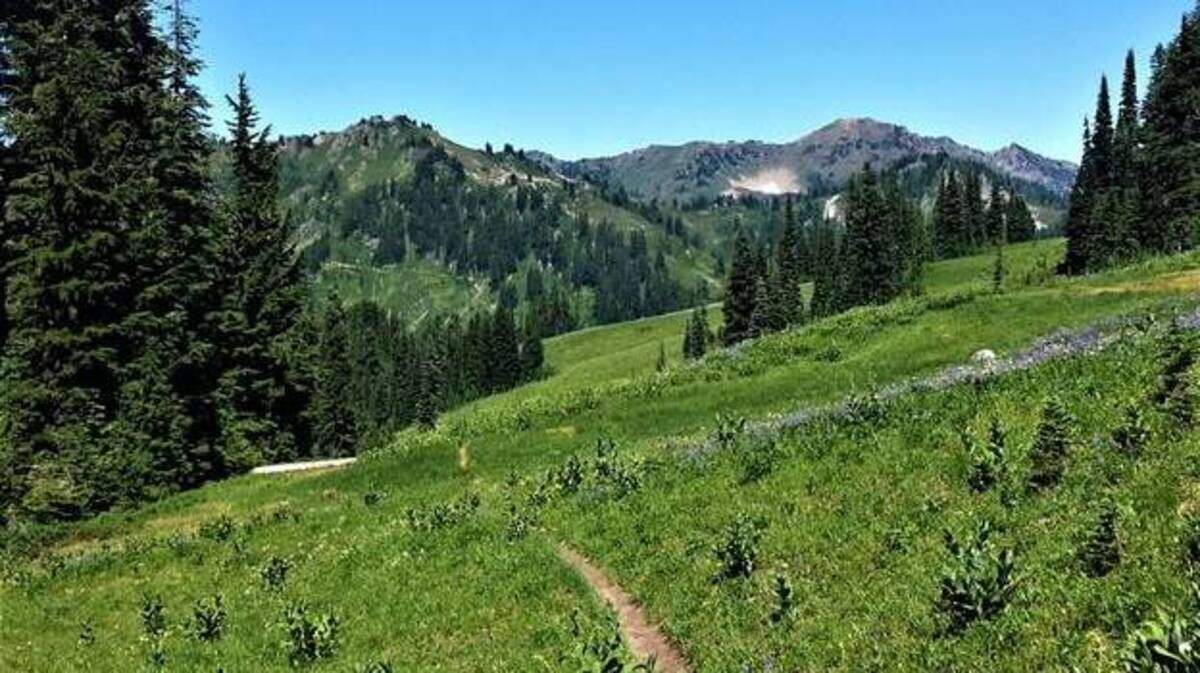 A hiker’s paradise views of flower-strewn meadows. With lingering snow completely gone from the high country, it is the perfect time to make a quick trip or even an overnighter to one of the many areas withing easy reach of the Mid-Columbia.
