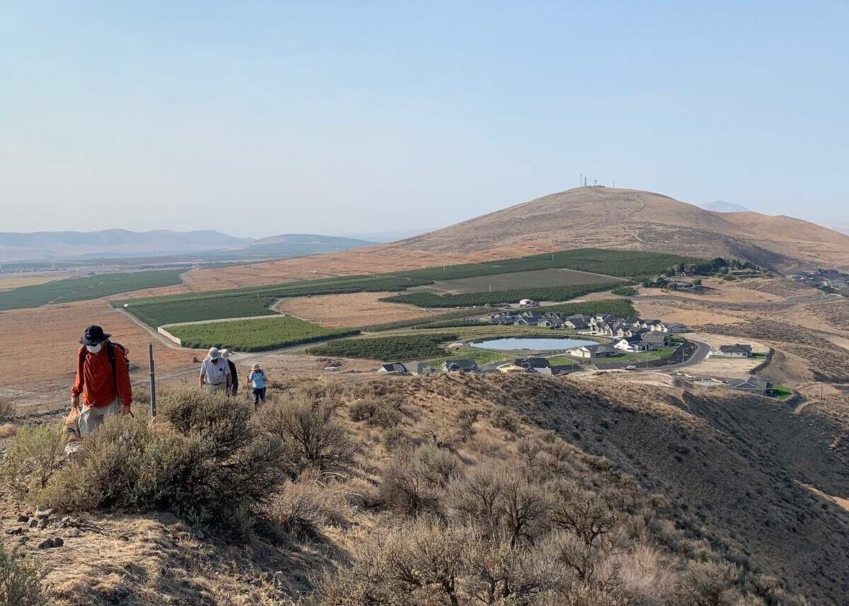 Volunteers with the Friends of Badger Mountain work on developing the ridgeline trail on Little Badger Mountain in Richland.