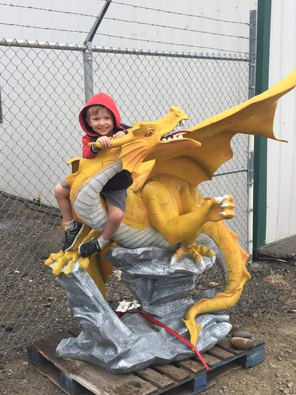 This dragon went missing from a commercial property near the corner of Goethals Drive and Gillespie Street. It was found stuck inside a property on Hains Avenue.
