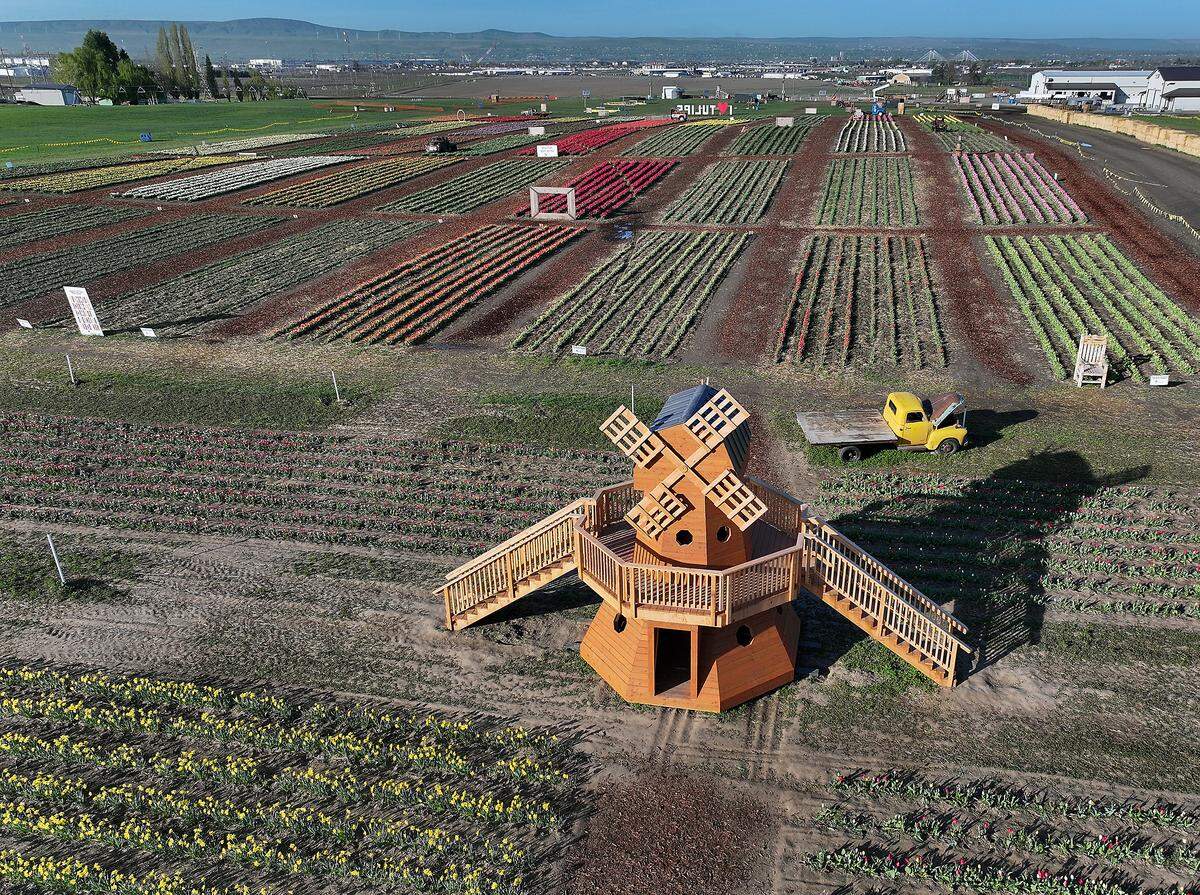 Middleton Farms is at 1050 Pasco-Kahlotus just northeast of Pasco off Highway 12.