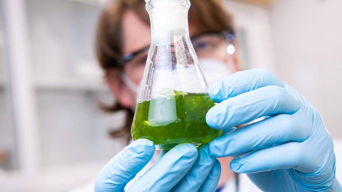 Richland national lab contractor earns $13M after new report card. Here are the scores