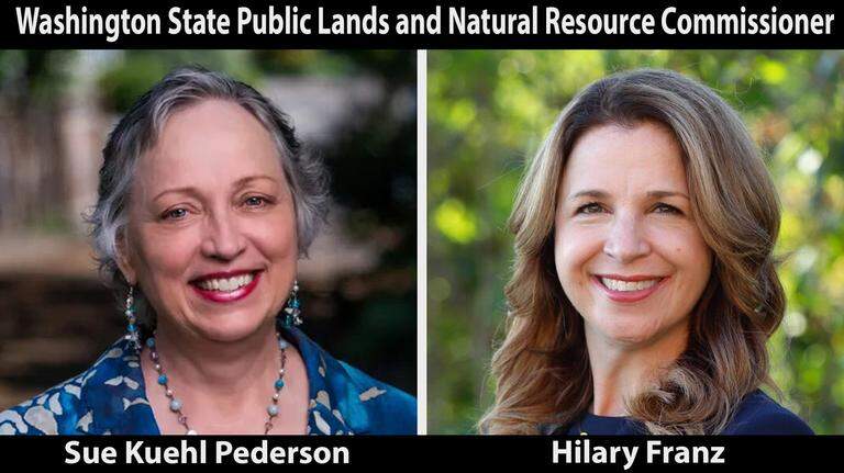 We like both candidates for public lands commissioner, but one deserves it more | Editorial