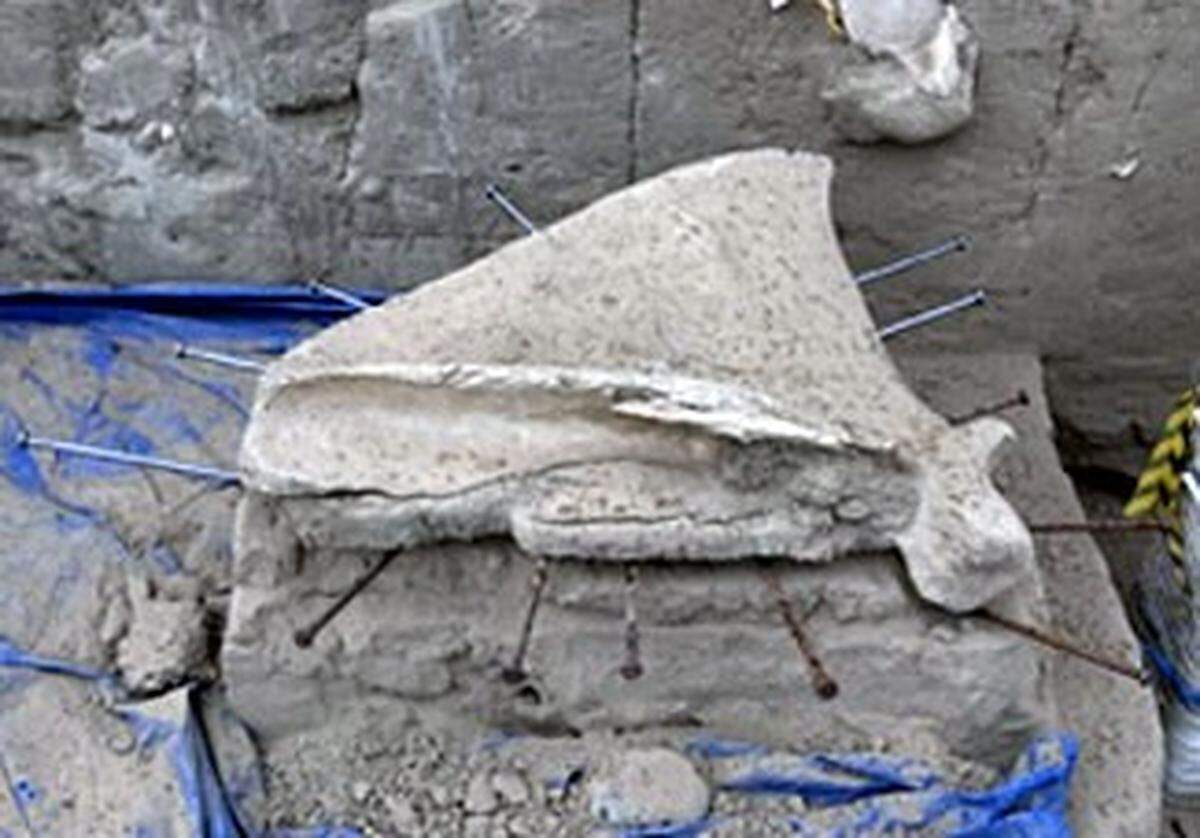 The shoulder blade of an ice age mammoth is shown as it was being carefully unearthed, leaving a pedestal of dirt beneath it, at the Coyote Canyon dig site near Kennewick.