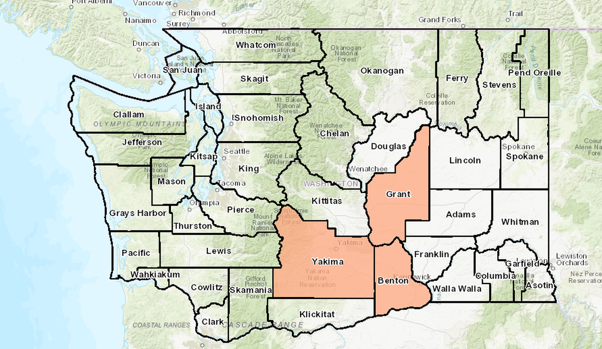 West Nile virus has been found in mosquitoes in three Washington state counties this summer, according to the Washington state Department of Health data.