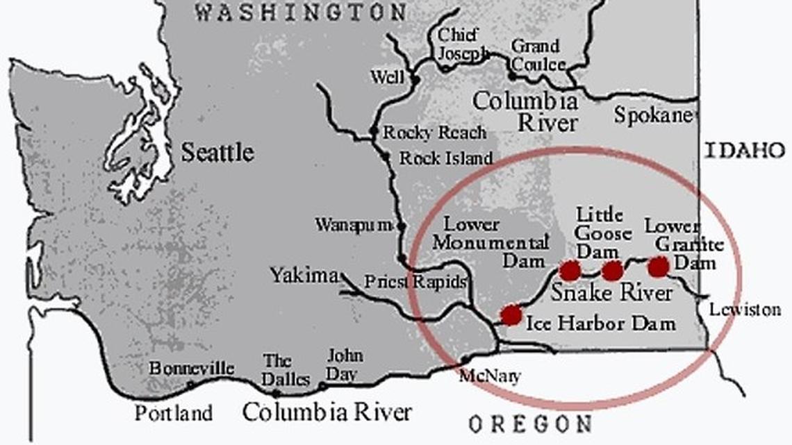 Inslee, Murray launch study that could lead to tearing down Snake River dams