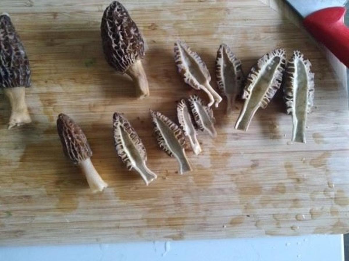 Courtesy: Gideon Belmaker 