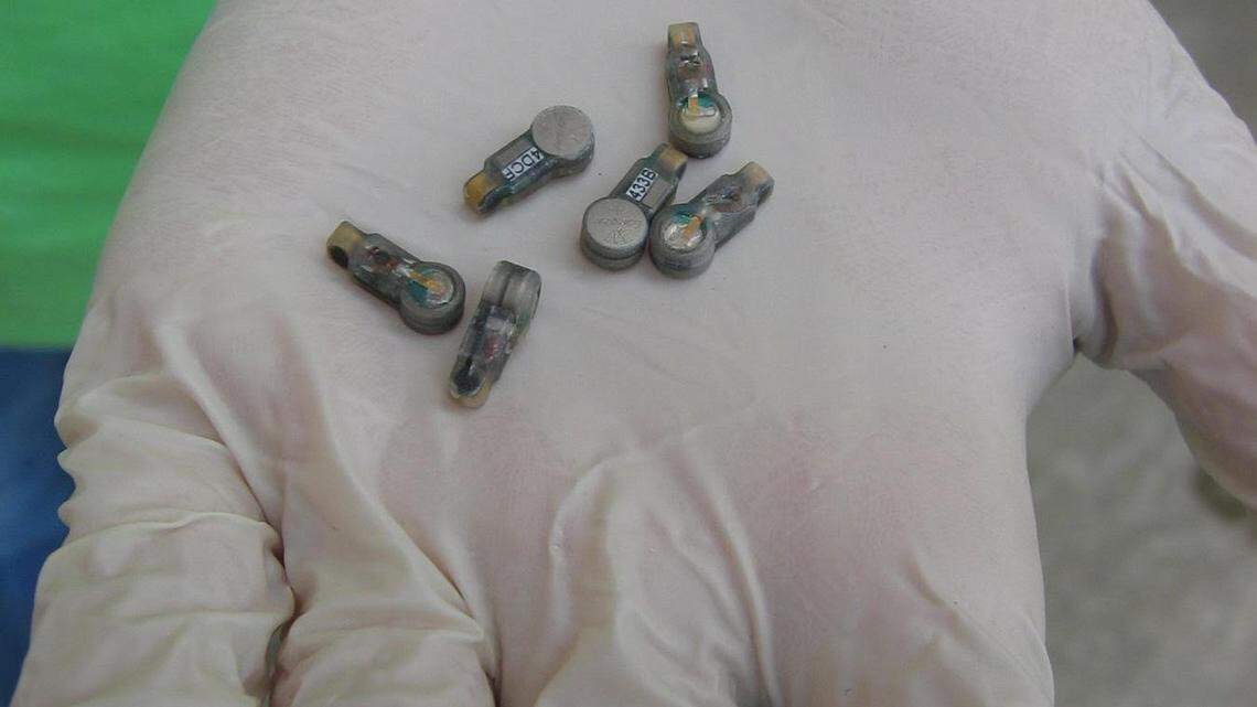 We enjoy the wonders of the water, but these teams help promote a healthy Columbia