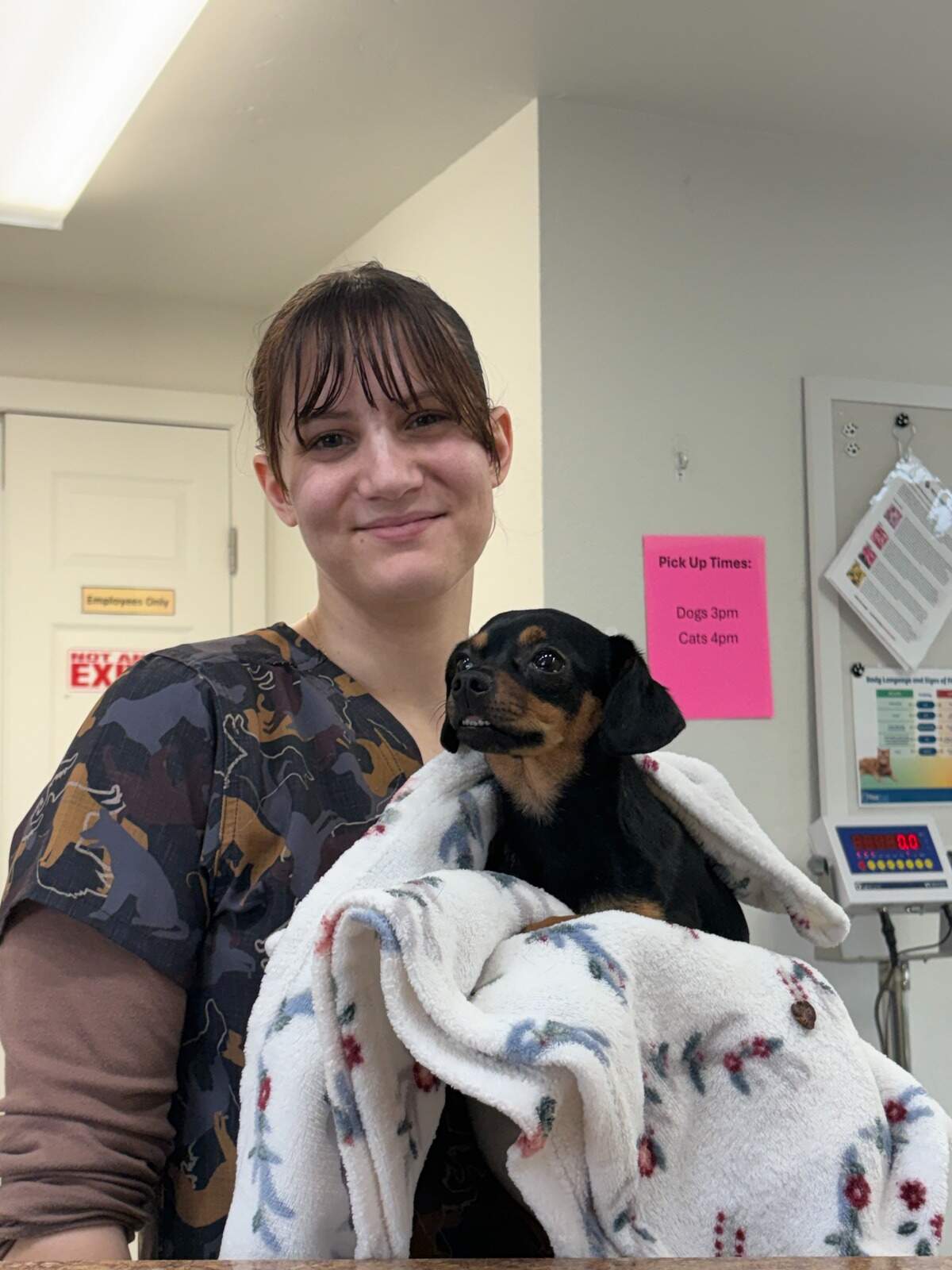 A member of the veterinarian staff at Pet Overpopulation Prevention’s Pasco clinic holds a dog.