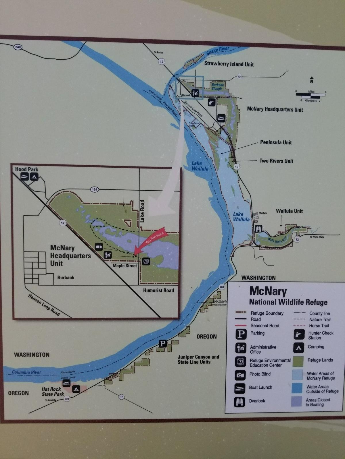 Some water areas of the McNary National Wildlife Refuge have been closed since early August because of cyanobacteria.