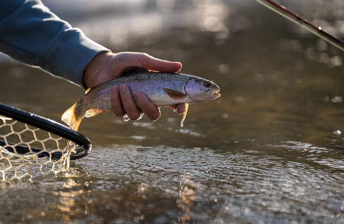 Nearly two dozen lakes across Eastern Washington open March 1 for trout fishing. Some others are open year-round.