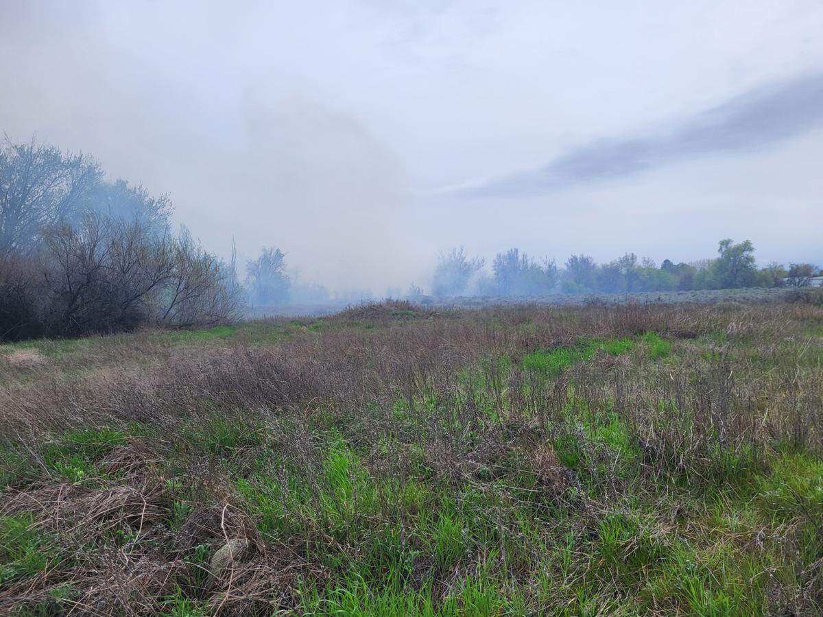 Crews were dealing with a vegetation fire at Columbia Park on Wednesday.