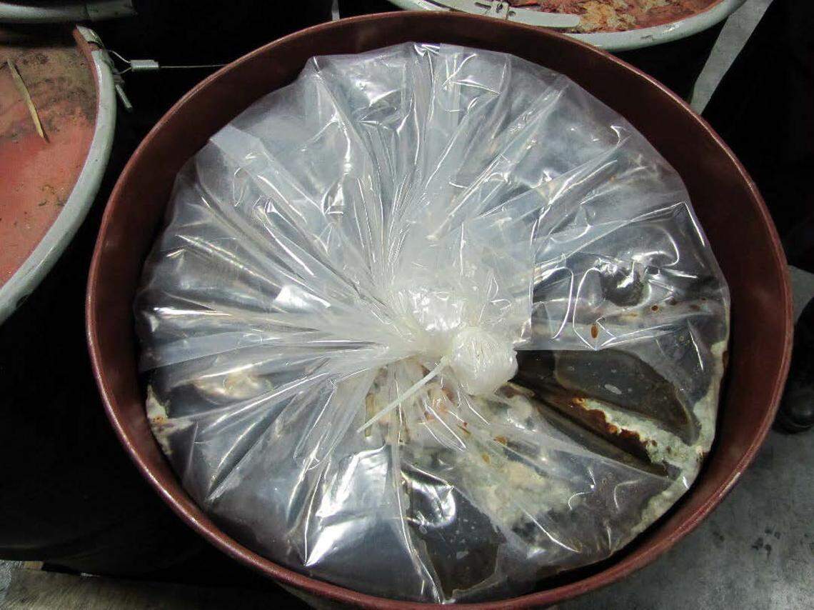 A photo filed in federal court shows apparent mold growing inside plastic bags holding grape product to be made into juice concentrate Valley Processing in Sunnyside.