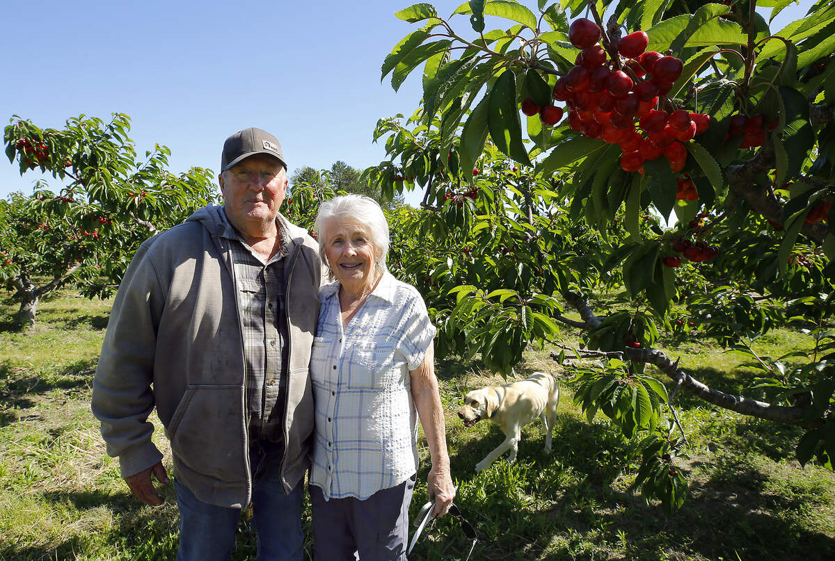 Sandra and Robin French recently announced they have started to phase out their u-pick orchard operation in Richland. They are working toward retirement after being part of the longtime farm.
