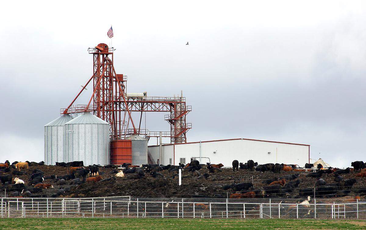 Easterday Ranches North Lot cattle feedlot at 8230 Blanton Road near Eltopia in rural Franklin County