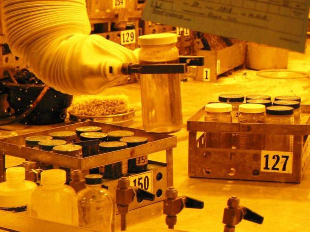 Samples of tank waste are remotely handled in shielded “hot cells” at the 222-S Laboratory.