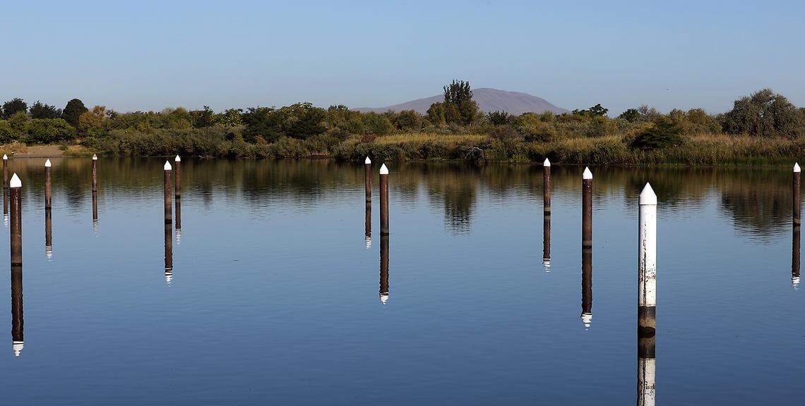 A series of dock pilings sticking out of the water just downriver from the Bateman Island causeway were the only clues left of the former Columbia Park Marina in August. 
