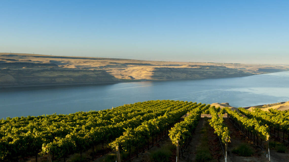 Northwest wine: World set to toast Riesling’s birthday on March 13