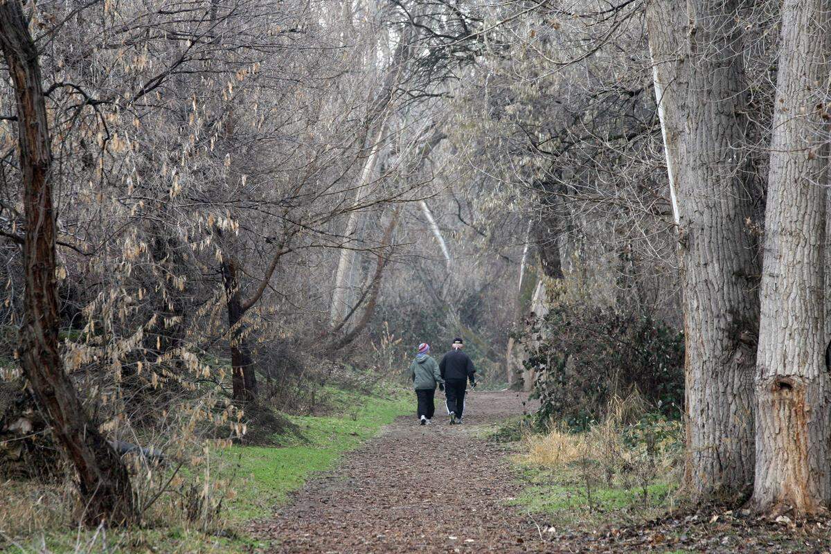 A walk along the Zintel Canyon Greenway is an nature escape in Kennewick.