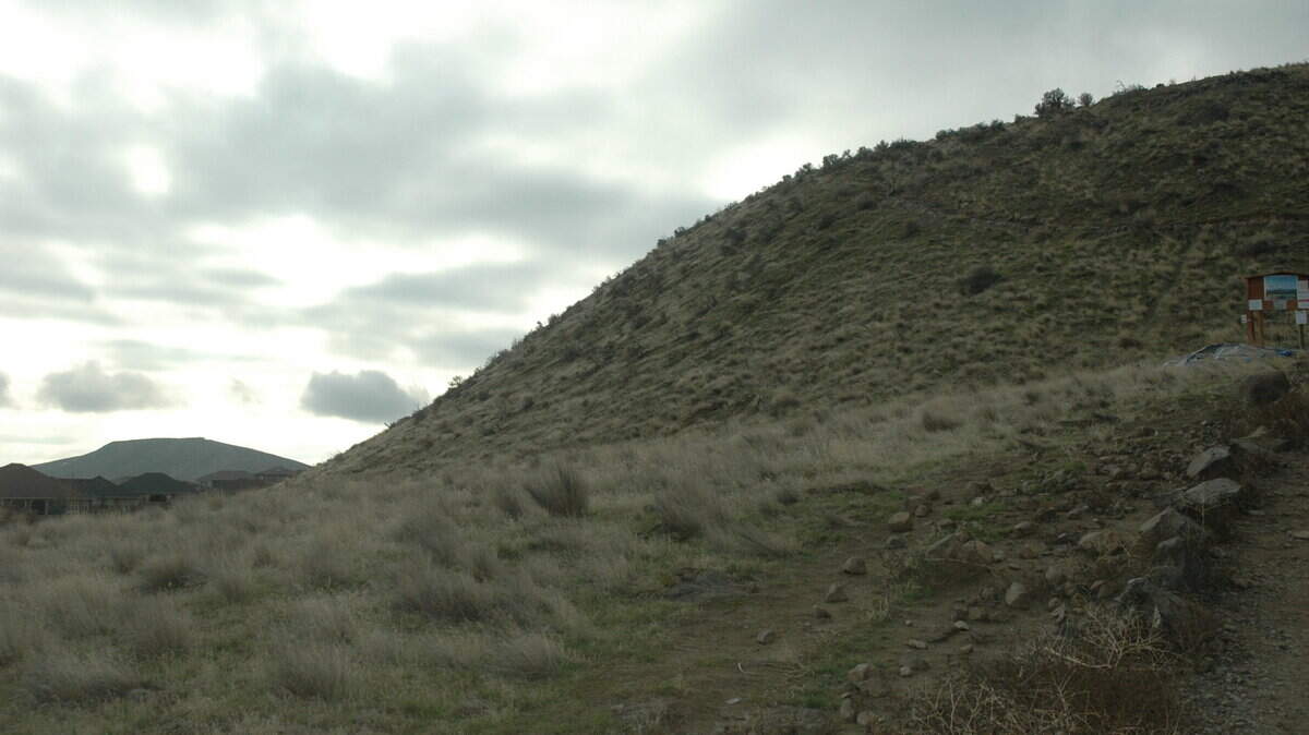 Badger Mountain invites hikers to experience a gentle climb to the top.