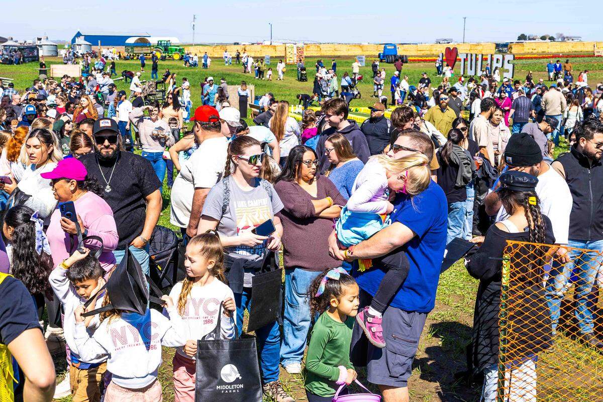 Hundreds of families gather to catch Easter eggs dropped from a helicopter during the Middleton Farms Easter Egg Drop on Saturday.