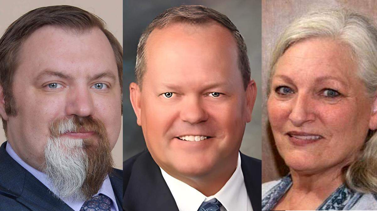1 candidate holds commanding lead in 8th District Senate race in Tri-Cities