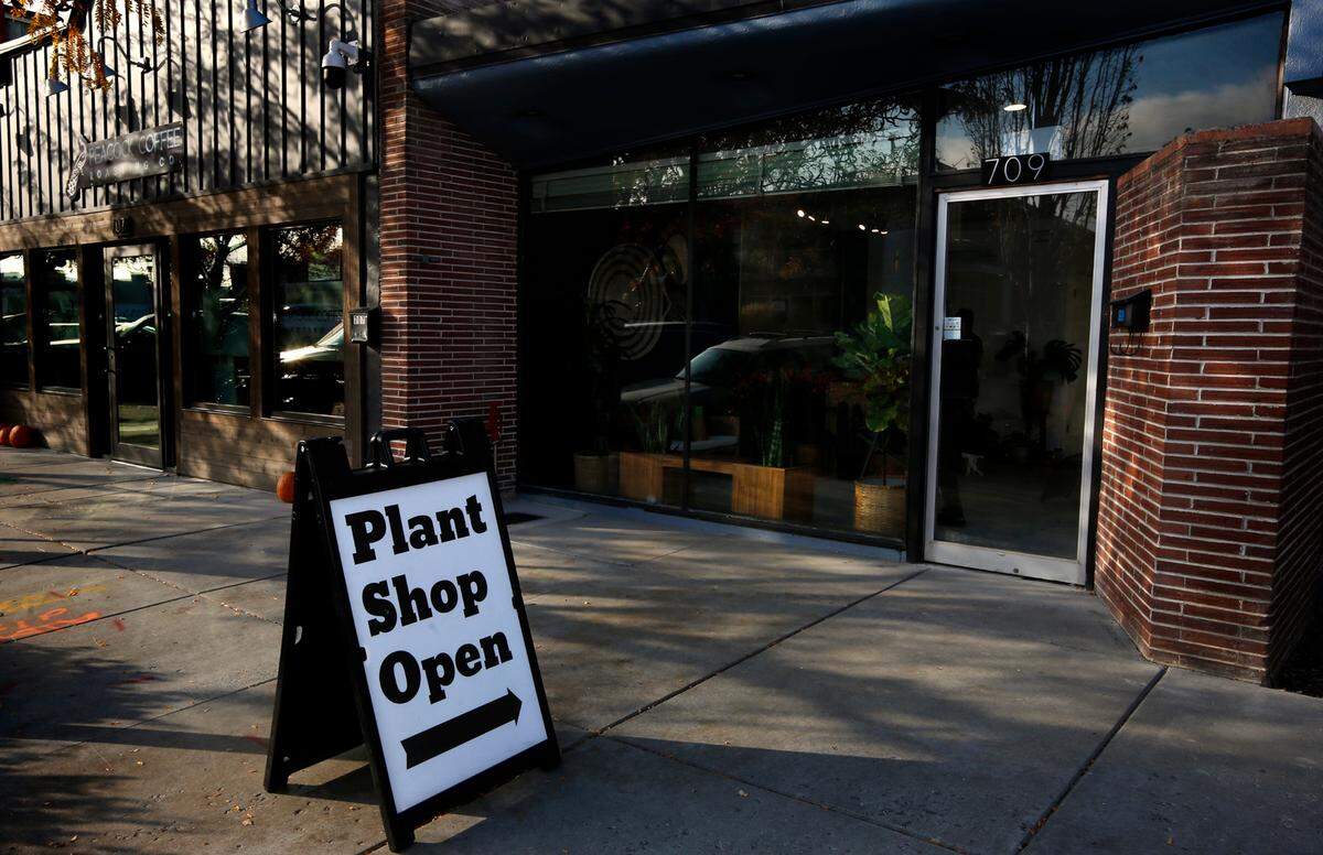 The new second location of The Little Plant Shop is at 709 The Parkway in Richland.