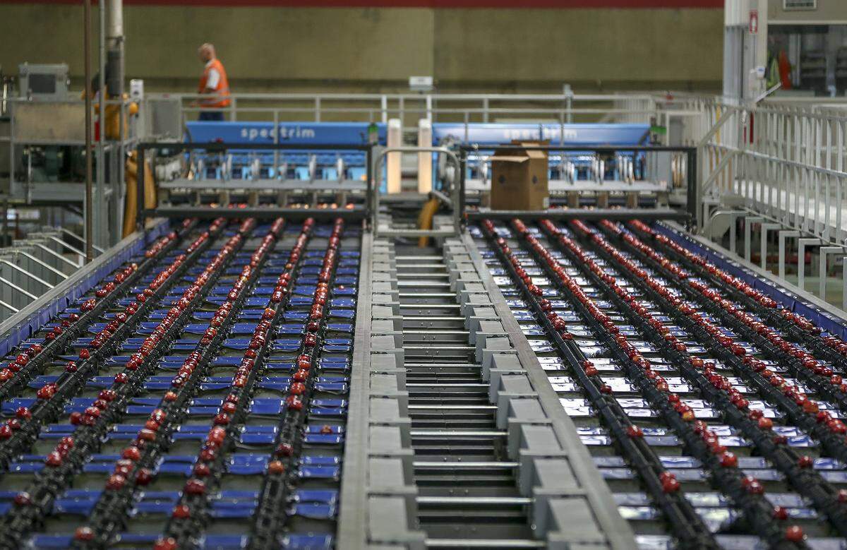 Apples are processed at a former Broetje Orchards packing facility in Eastern Washington.