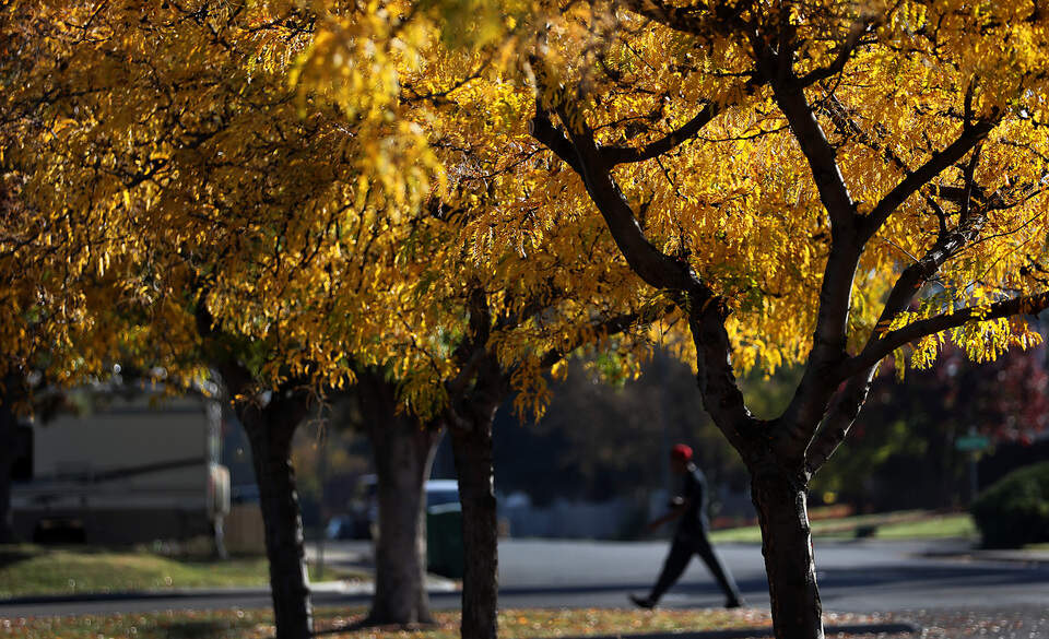 Fall colors in WA: When, where to see leaves in autumn 2025 ...