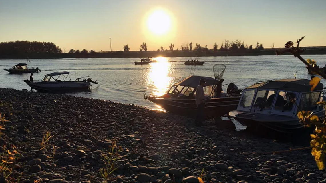 An Eastern WA salmon fishing tradition is being stopped. State says it got too popular