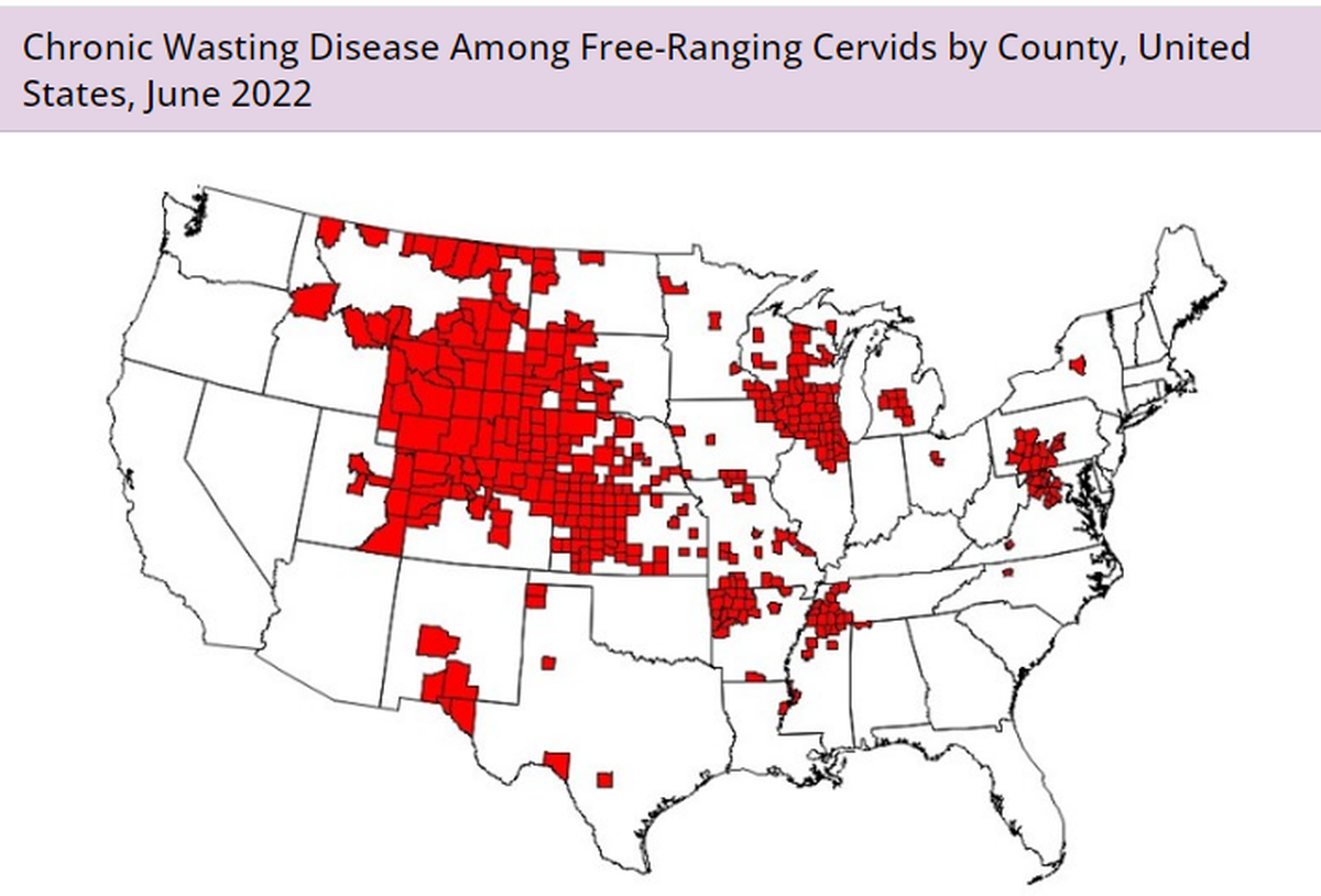 Chronic wasting disease has been found among free-ranging elk, deer, moose and caribou in 391 counties and also Canada, according to the Centers for Disease Control and Prevention.