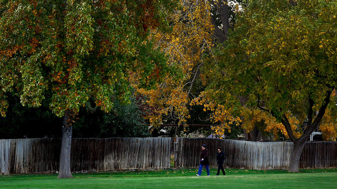 Walking in the calm before the windstorm