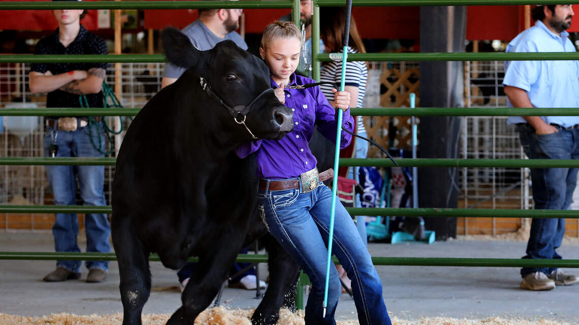 ‘Best Week of Summer’ is here. Benton Franklin Fair & Rodeo opening day