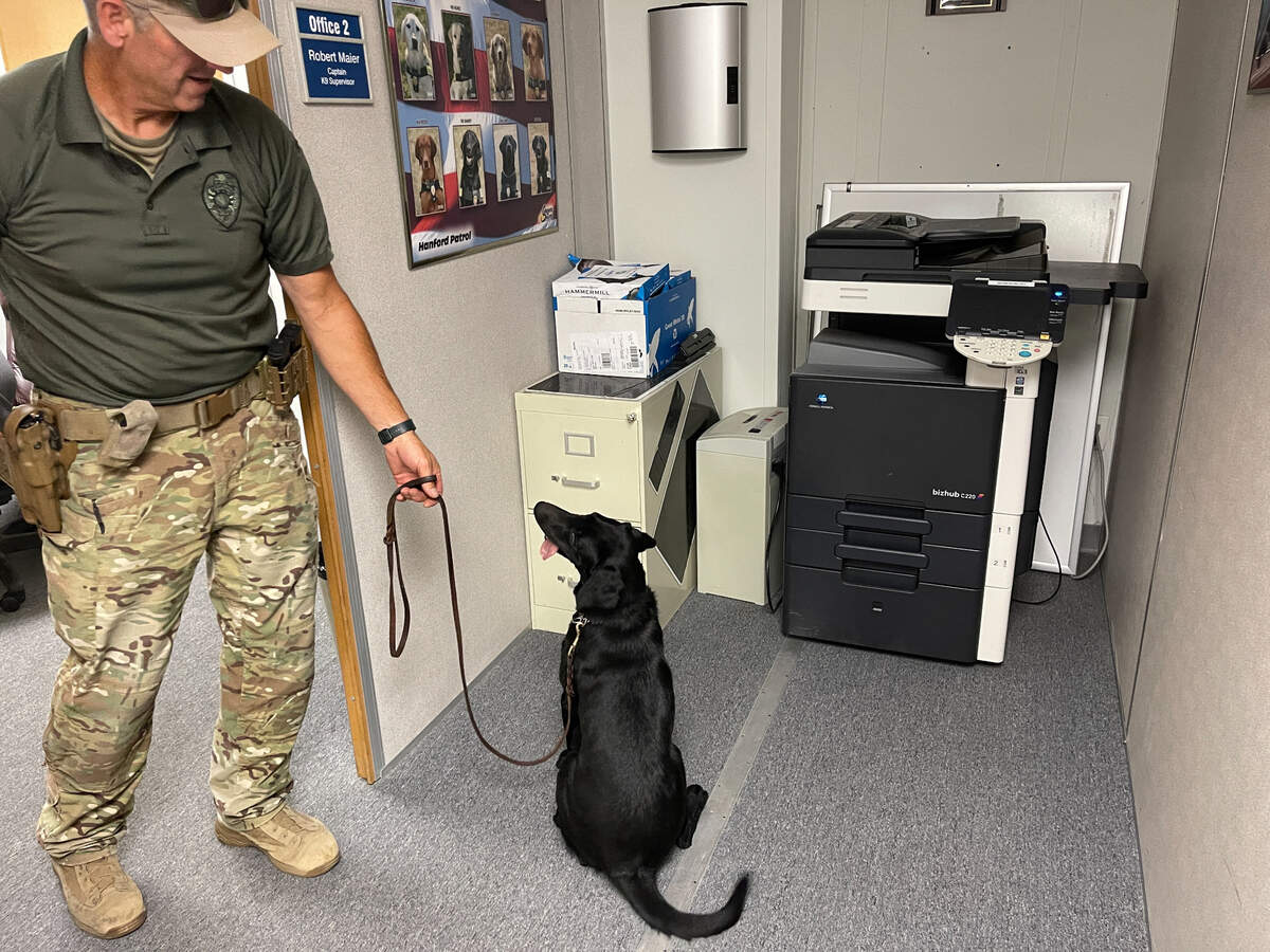 New Hanford site K-9 Freda is partnered with Patrol Officer Dave Donovan to sniff out explosives.