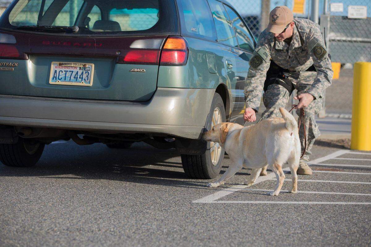 Hanford Mission Integration Solutions is in charge of the Hanford Patrol, which provides 24-hour security at the Hanford nuclear reservation.