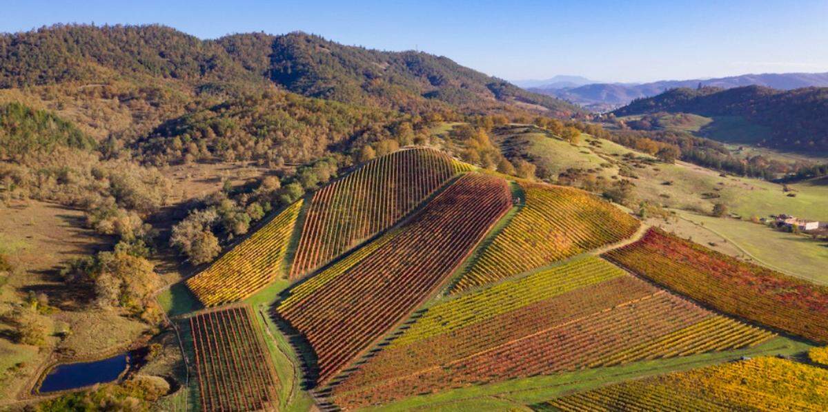 Cobblestone Hill serves the centerpiece of the 76 acres planted by the Jones family and reflected on the label of their Abacela wines.